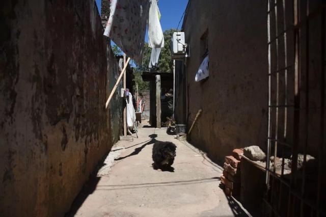 半岛体育 - 半岛体育官方网站 - Bandao AP-达尔文·努涅斯的足球故事：小国小镇走出巨星